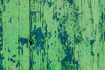 Painted green wood surface