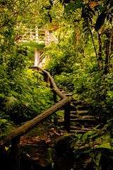 Dumagette, Negros, PHILIPPINES - Feb 06, 2018: forest near the twins' lakes.