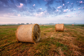 Poranek w Dolinie Narwi © podlaski49
