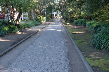 Fototapeta premium 宮崎市のパワースポット18