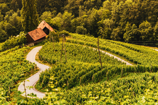 Heart shaped wine road, Tourist spot, Herzerl Strasse