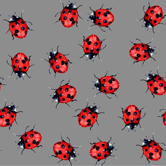 beetle ladybird watercolour