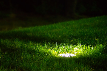 Decorative Garden Light in ground built-in, Lanterns In Flower Bed In Green Foliage. Garden Design
