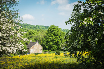 Country house in the fields and countryside