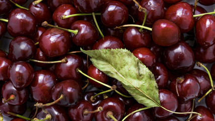Background of red cherries with green stalks and with a cherry tree leaf.