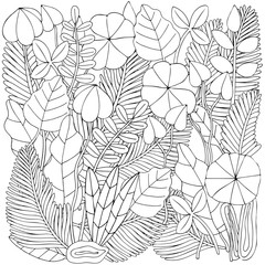 Fototapeta premium Floral doodle background pattern in vector with leaves. Black and white Coloring book. Monochrome.