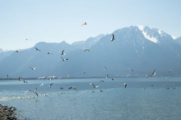 Alpine lake in the springtime, Switzerland