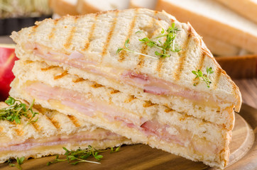 Panini cheese ham toast, fresh apple sandwitch
