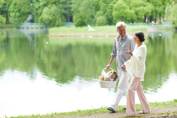 Modern senior couple in casualwear walking along waterside in park on summer day