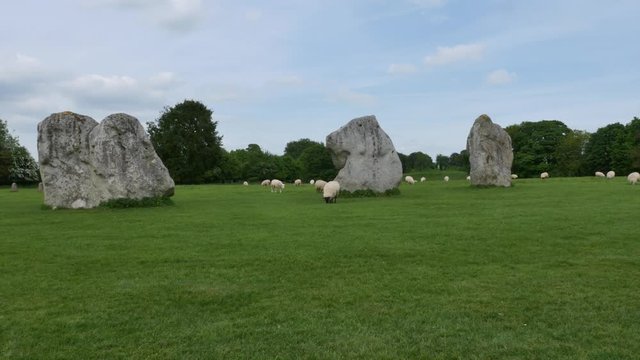 Sheep grazing between the Stone circle at Avebury, a neolithic henge monument and an Unesco World Heritage site, Wiltshire England