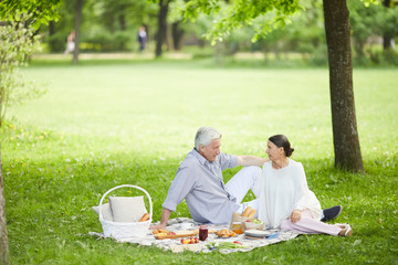 Mature couple sitting on green glade in park, talking and having picnic on summer day