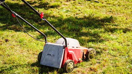 Gardening. Mowing lawn with lawnmower