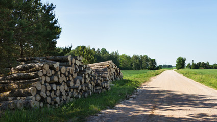 View to the country road.