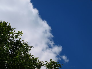 Fototapeta premium Sky