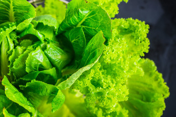 Organic food concept