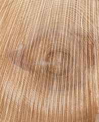 Naklejka premium Textur eines abgesägten Baumstamms mit Jahresringen