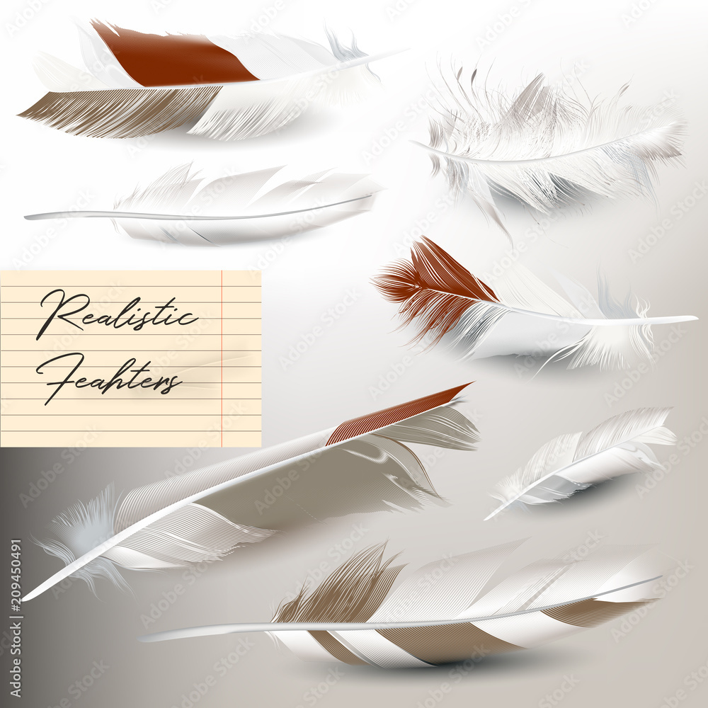 Poster Set of elegant  vector light realistic feathers