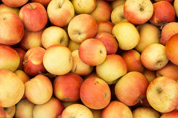 Naklejka na ściany i meble Pile of Fuji apples for sale at the market