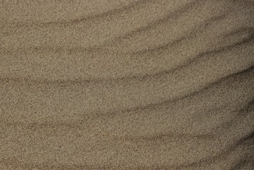 Fototapeta na wymiar Natural sand surface.