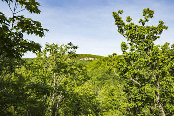 Valley View From a Cliff