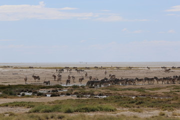 Namibie