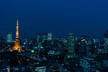 Fototapeta premium 東京の夜