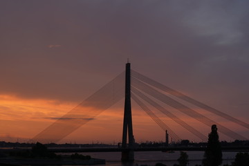Fototapeta premium View at the Vanšu Bridge and the Daugava river in Riga, Latvia at night