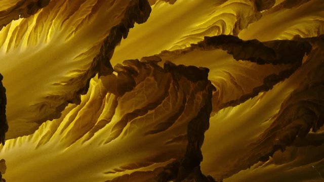 Beautiful leaves of Chinese cabbage rotating in 4K. Closeup flatlay view of delicious organic food from the garden for vegetable salad and other healthy dish. Great healthy composition.
