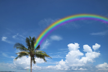 Fototapeta na wymiar rainbow back white cloud on sky and coconut tree, concept god bless