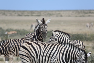 namibie