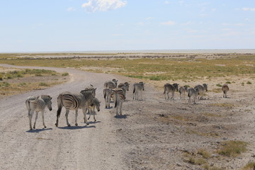 Fototapeta na wymiar namibie