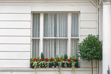 Window in London