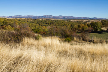 Vista  de Paisaje Otoñal con pueblo y montañas al fondo