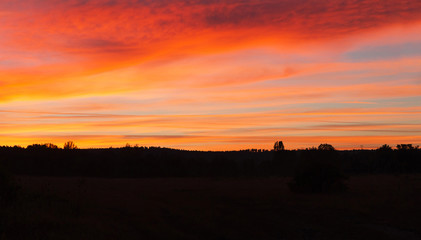 Panorama of Sunset on the Field 