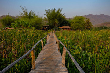wooden bridge on the green grasslands with sunlight in evening.