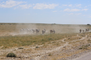 namibie