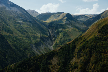 Fototapeta na wymiar Dark mountains, overgrown with green grass. Caucasian ridge. Georgia. Landscape.