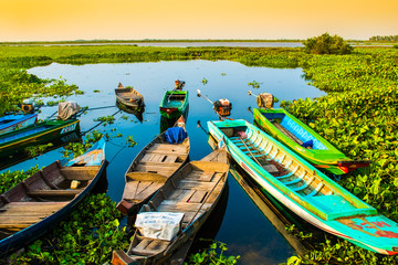Fototapeta na wymiar Alone beautiful colorful boats on lake, Lotus Farm, Phnom Krom, Cambodia