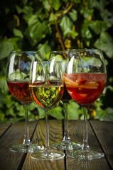 Wine Glasses
