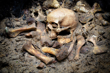 Skull and bones digged from pit in the scary graveyard which has dim light