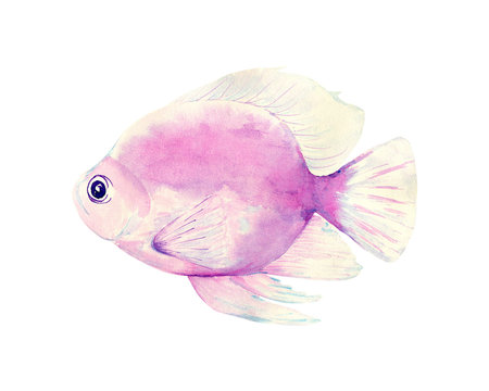 ropical fish on a white background.Watercolor painting. Handmade drawing. It can be used for postcards, invitations, menus, flyers,gifts ets.