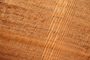 Wooden texture with traces of the saw for background.