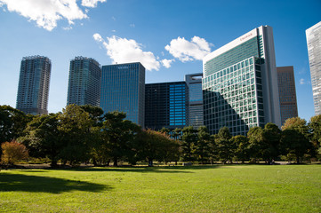 緑とビルと青空と
