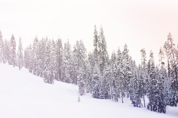Mountain Range on a snowy day 