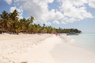 Exotic coast of the Dominican Republic with exotic palm trees on the golden sand