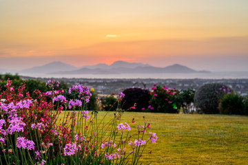 Kos Island, Town, Kalymnos, Greece - Warm sunset over the greek mediterranean sea near the turkish coast, viewed from the mountains of the island in a picturesque garden with many wildflowers