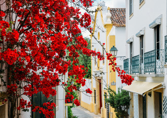 View of narrow paved street in Constancia, Portugal