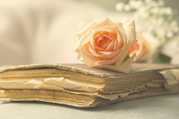 Old Book and Pink Rose