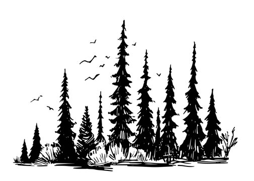 Hand drawn sketch of forest. Silhouettes of trees