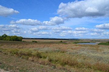 field
